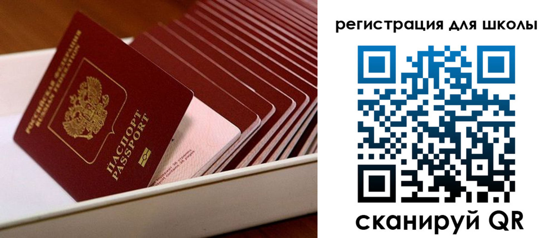 прописка гарантия в Дубне